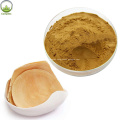 Viegra Malaysia Tongkat Ali Root Extract Powder Eurycomanone